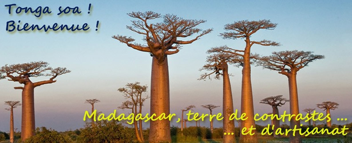 Bienvenue sur Art de Madagascar ! Bienvenue sur Art de Madagascar !