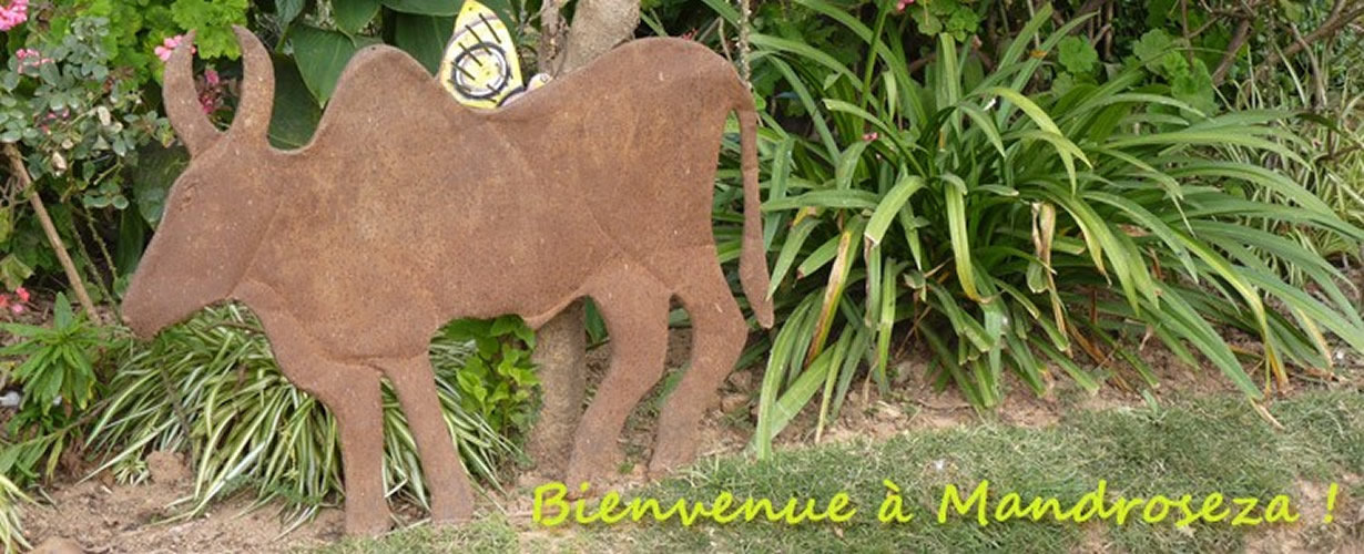 Bienvenue à Mandroseza - Art de Madagascar Bienvenue à l'atelier solidaire de Violette - Art de Madagascar